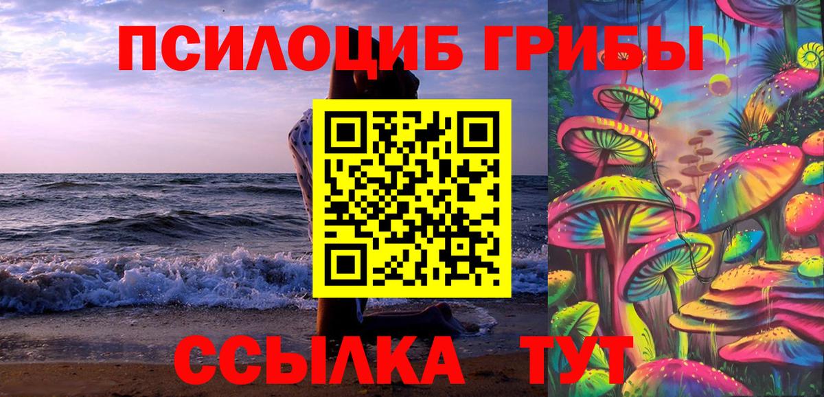 Псилоцибиновые грибы прущие грибы Асбест